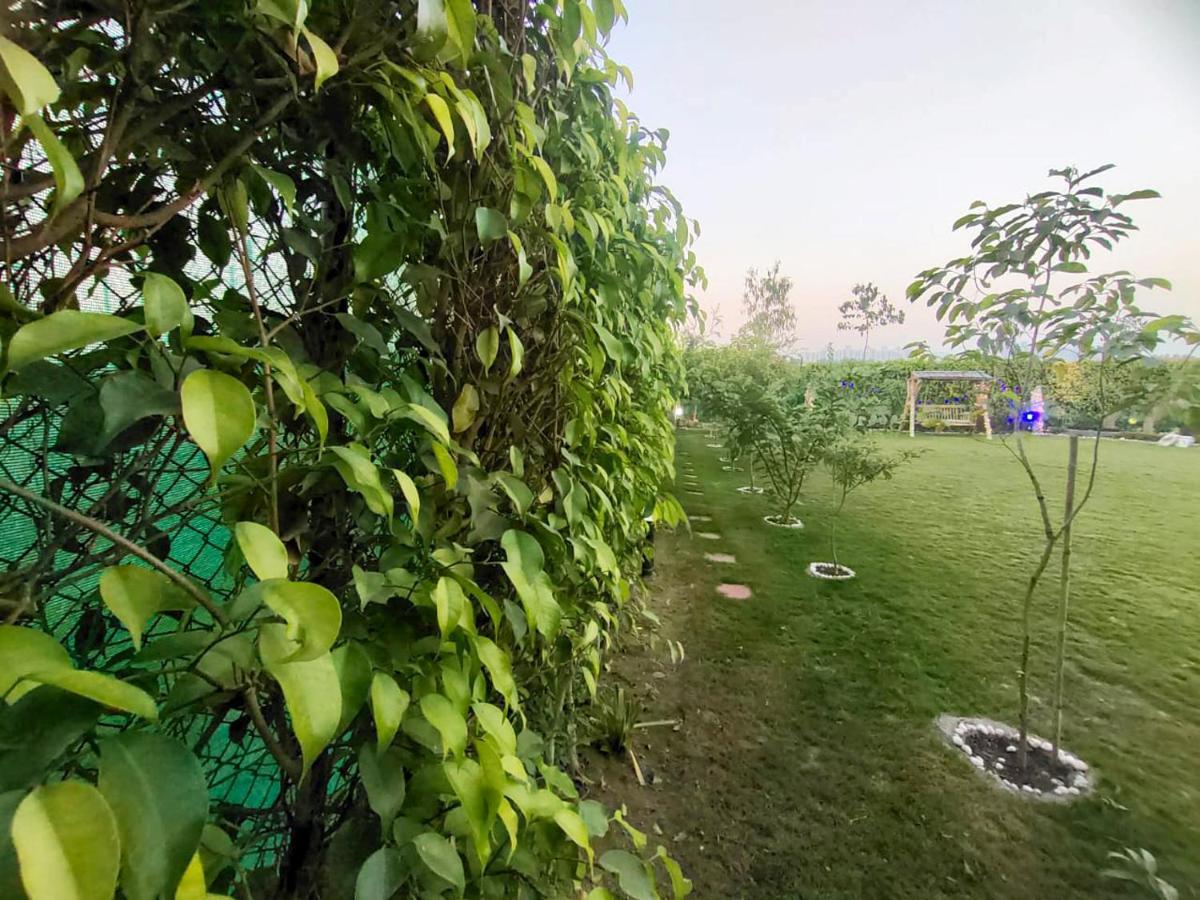 גרייטר נוידה Shaw Estate-Farm House For A Small Parties-Jp Farm מראה חיצוני תמונה